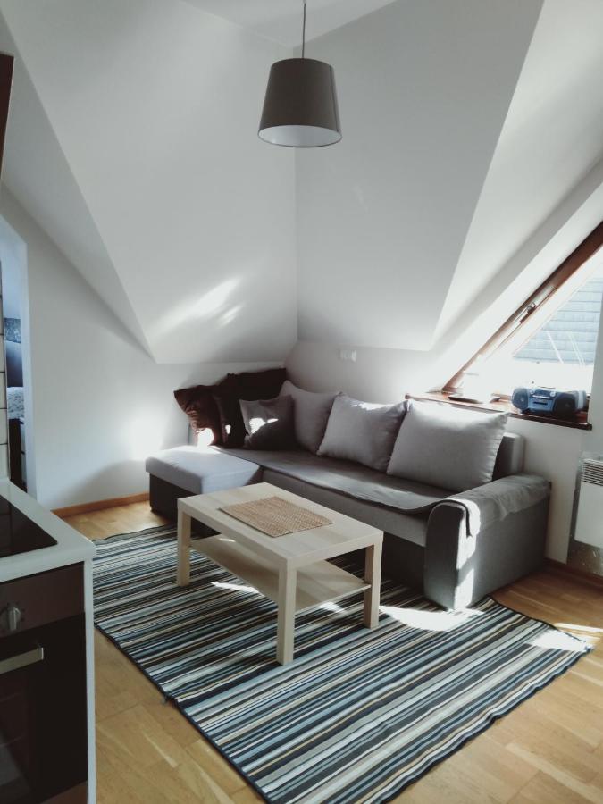 Apartament Kasprowy Jaszczurowka Zakopane Extérieur photo