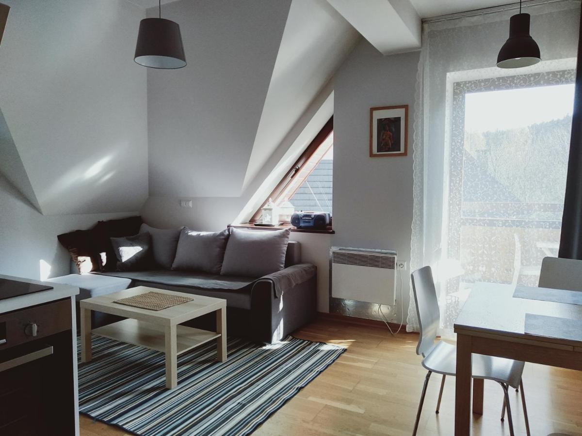 Apartament Kasprowy Jaszczurowka Zakopane Extérieur photo